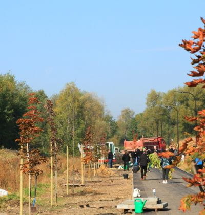 30 trees for Purmo's 30th anniversary bicycle patch Rybnik