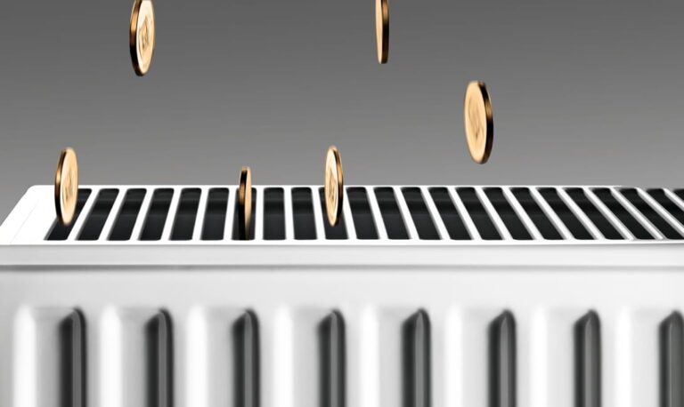 Renovation financing government support